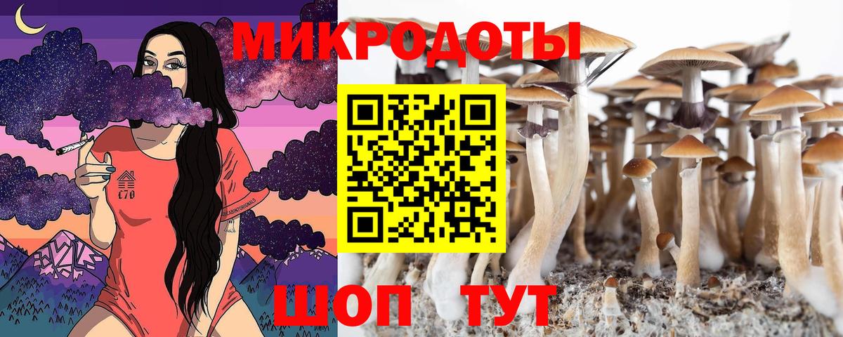Галлюциногенные грибы Psilocybine cubensis  Вход с VPN  Сафоново 