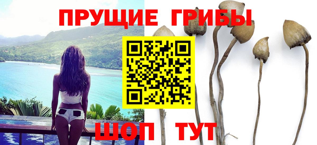 Псилоцибиновые грибы Magic Shrooms Сафоново